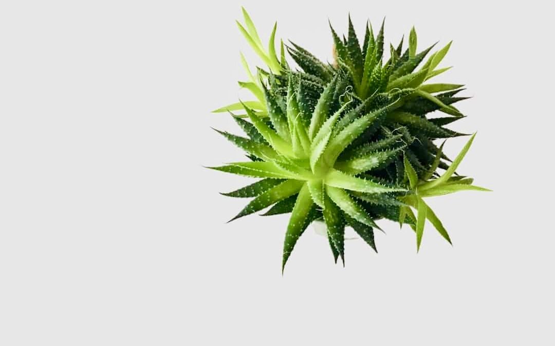 A Few Reasons Why You Should Consider Minimalism