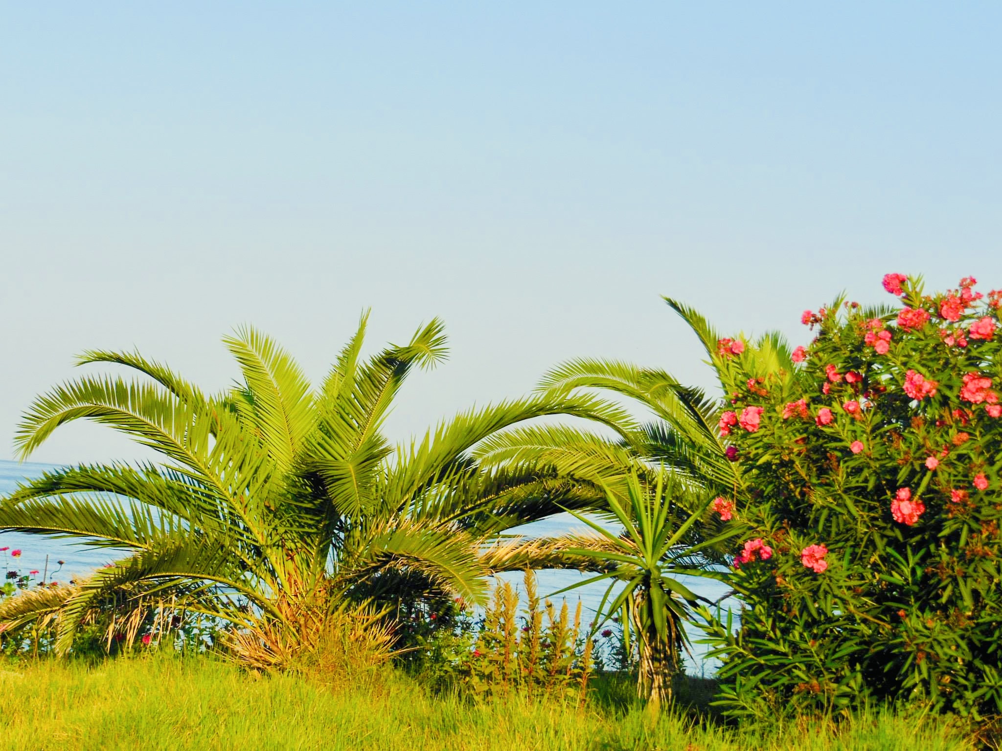 The Pearl of the Ionian Islands – How to Make the Most of Your Visit to Corfu