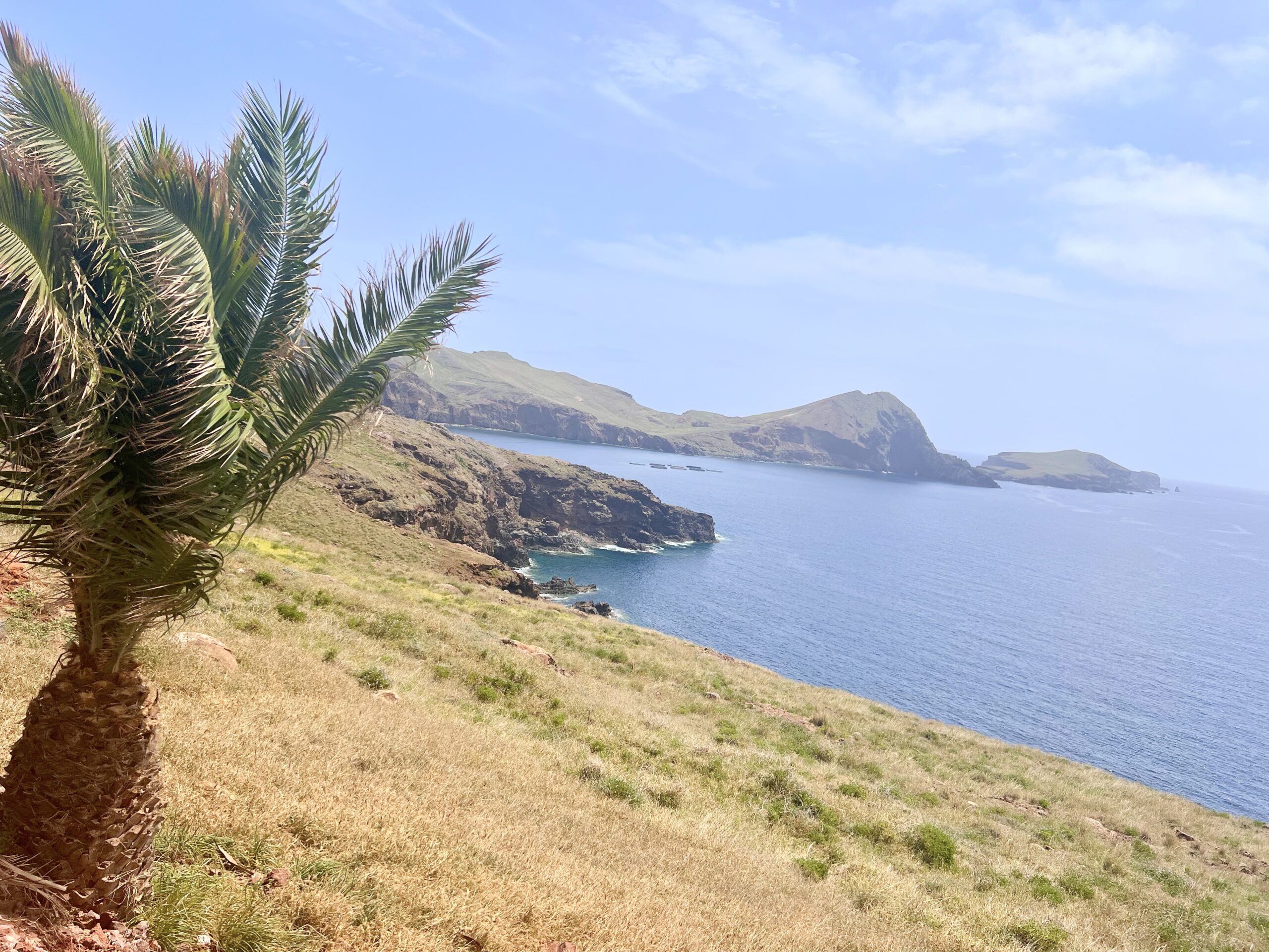 Coast of Madeira